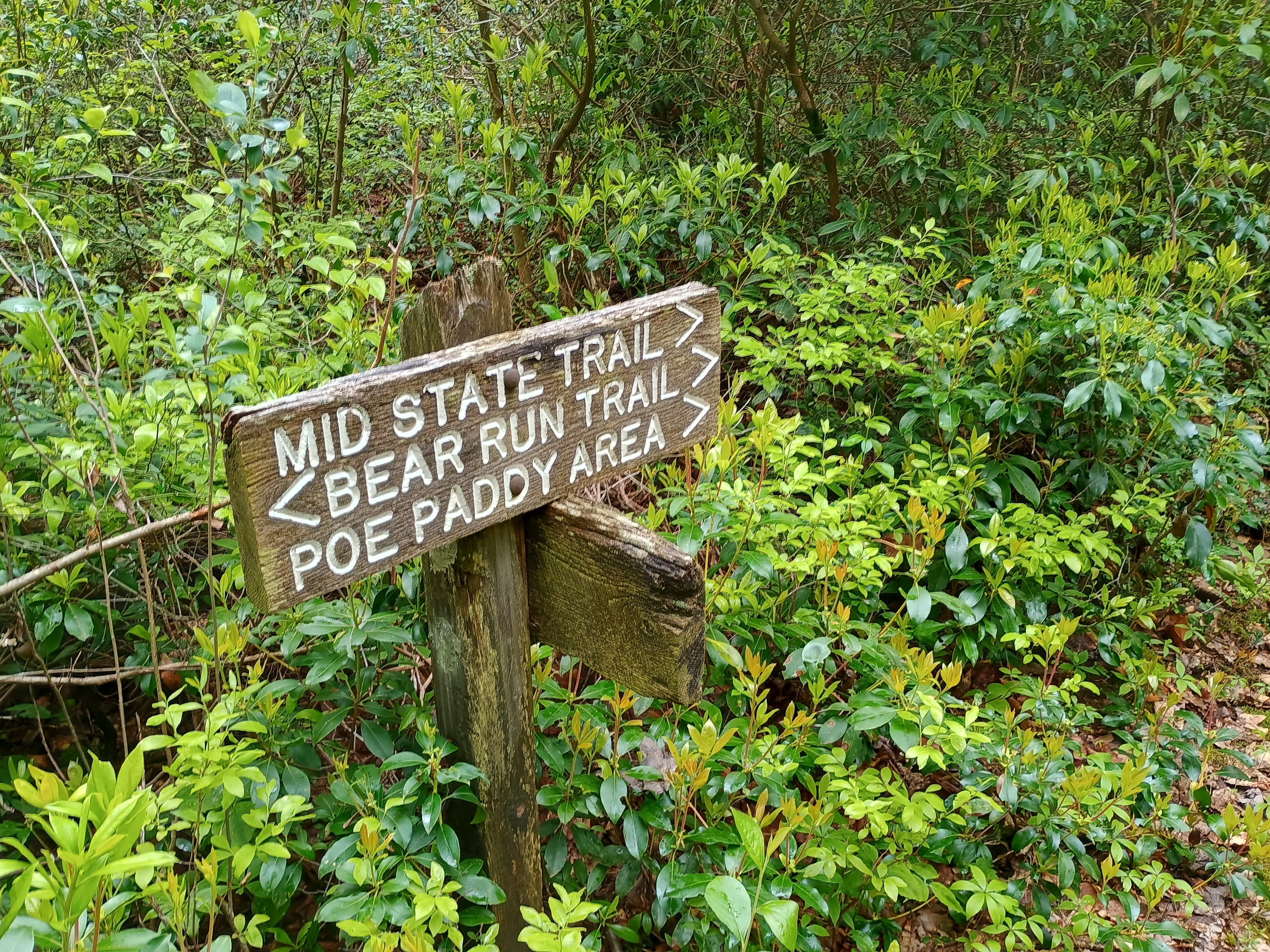 A jeep road turns into the trail once you pass the hunting cabin.